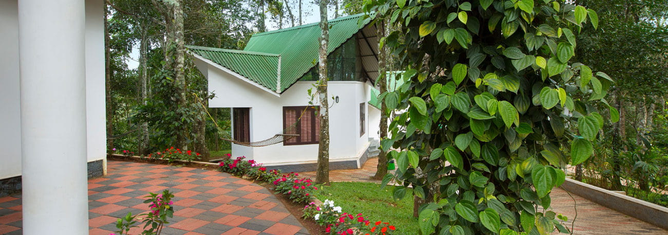 misty lake resorts munnar