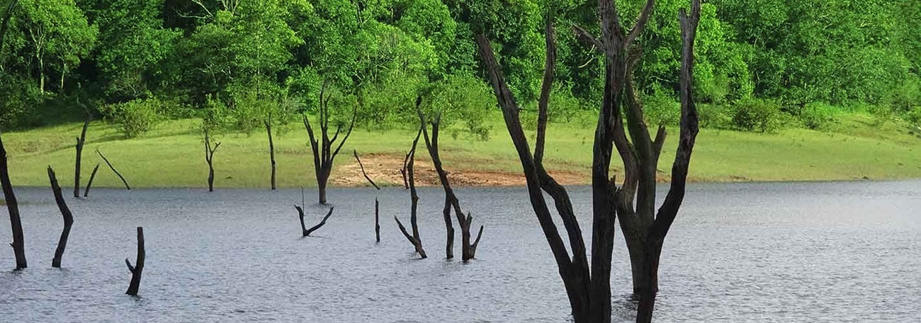 misty lake resorts munnar