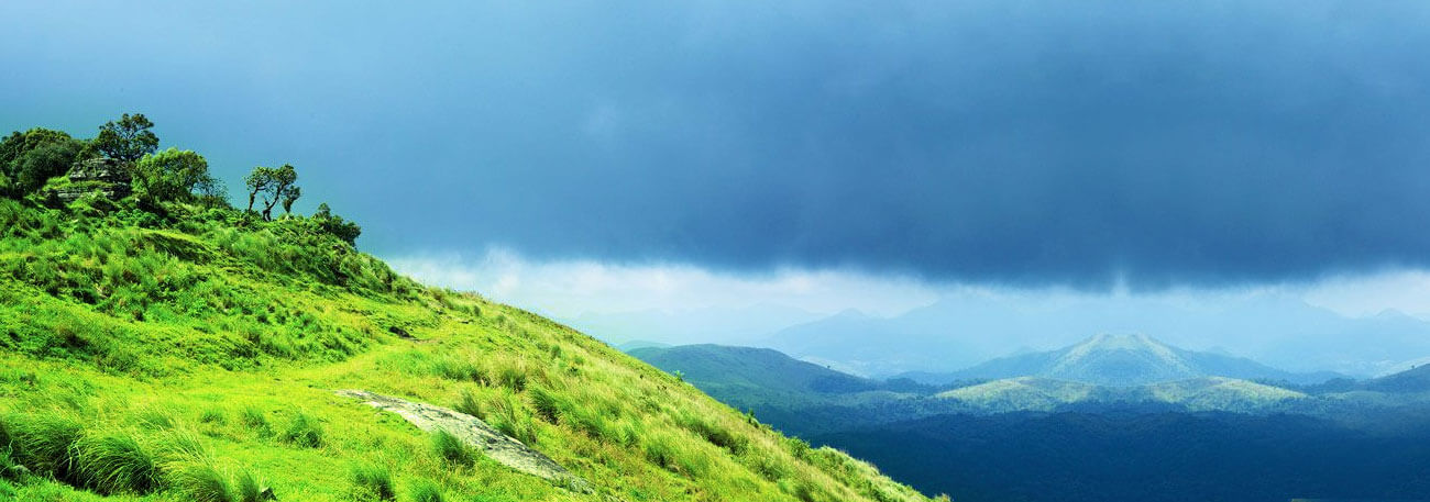 misty lake resorts munnar