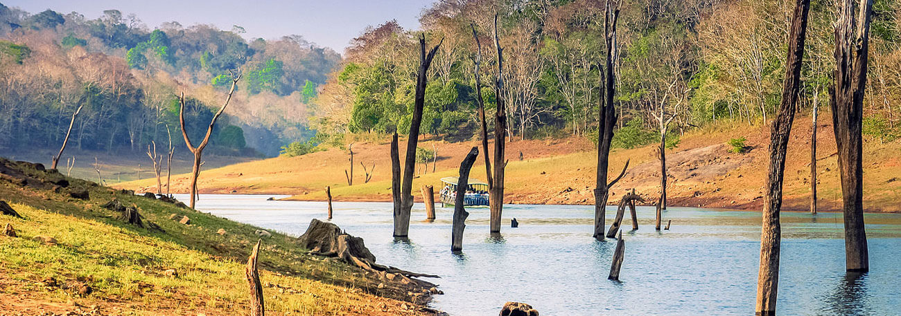 misty lake resorts munnar