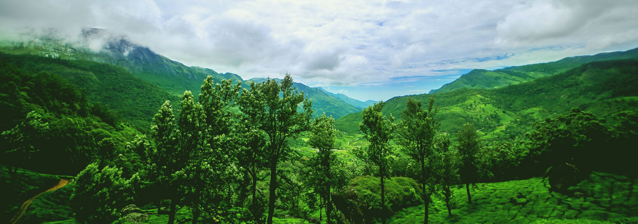 misty lake resorts munnar