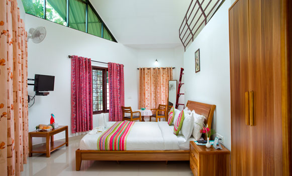misty lake resorts