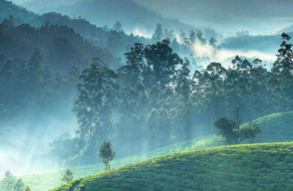 misty lake resort