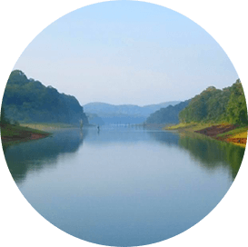 misty lake resorts