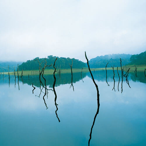 misty lake resorts munnar