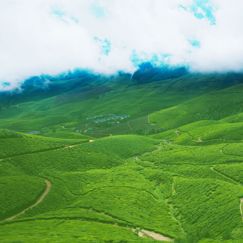 misty lake resorts munnar