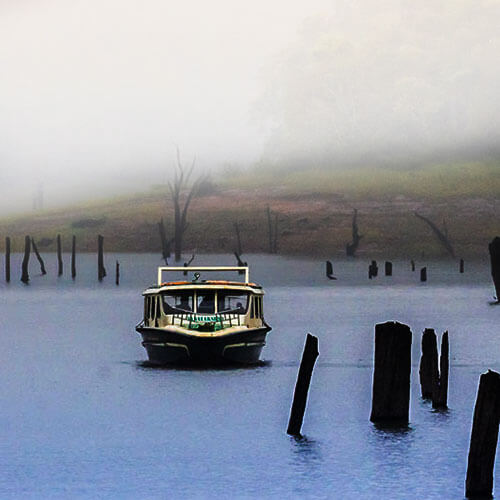 misty lake resorts munnar