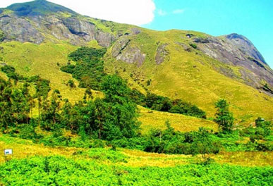 misty lake resorts munnar