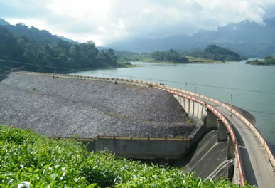 misty lake resorts munnar
