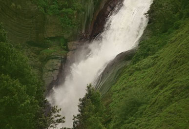 misty lake resorts munnar