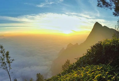 misty lake resorts munnar