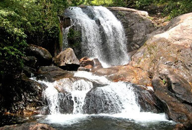misty lake resorts munnar