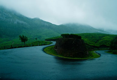 misty lake resorts munnar
