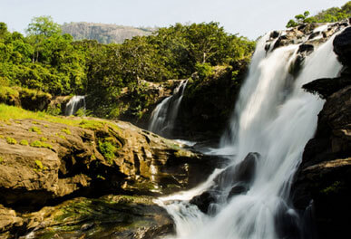 misty lake resorts munnar
