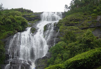 misty lake resorts munnar