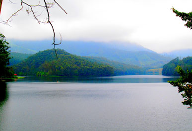misty lake resorts munnar