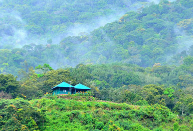misty lake resorts munnar