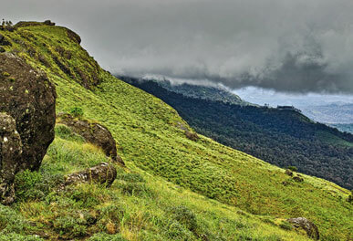 misty lake resorts munnar