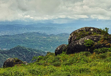 misty lake resorts munnar