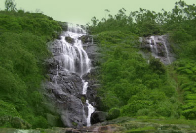 misty lake resorts munnar