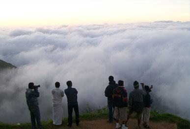 misty lake resorts munnar