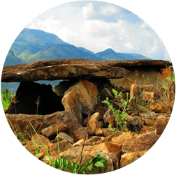 misty lake resorts munnar